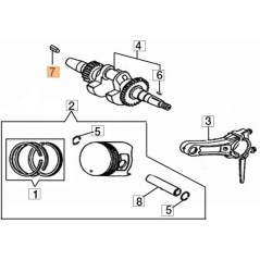 ORIGINAL EMAK-SCHLÜSSEL L66150483 | NewgardenParts.com