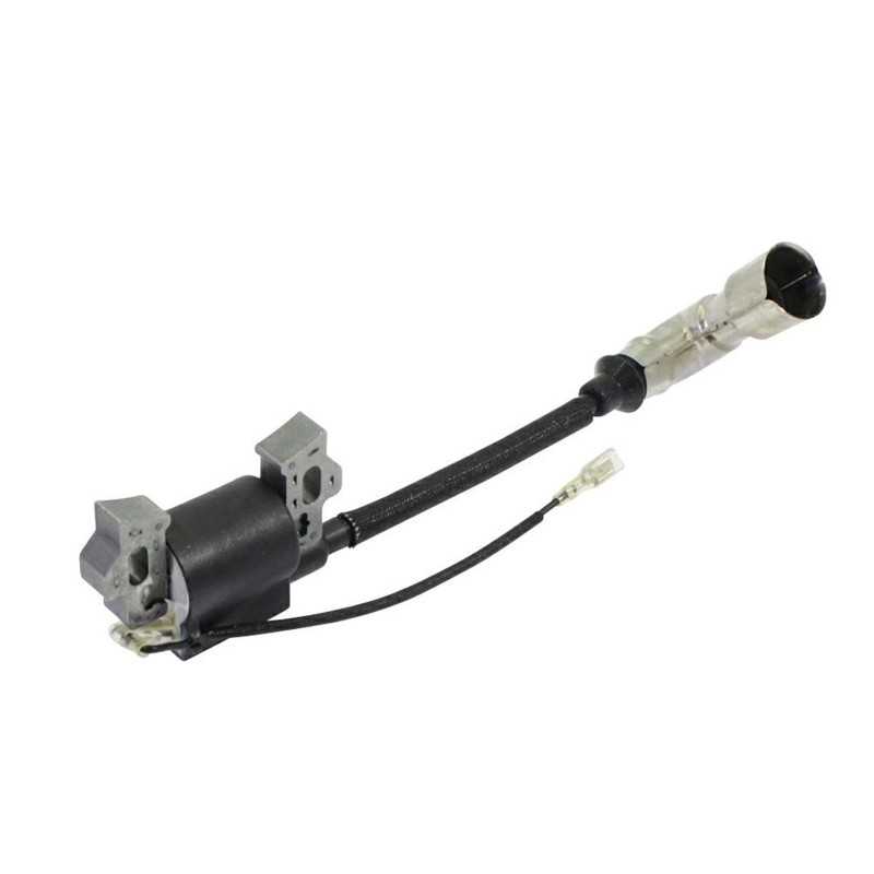 Rasenmähermotor elektronische Spule 1P61F 1P65F 1P70F LONCIN 270920215-0001