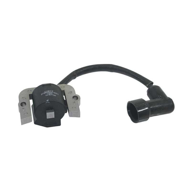 Spule für Rasenmähermotor 2P82F LONCIN 270920354-0001