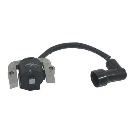 Spule für Rasenmähermotor 2P82F LONCIN 270920354-0001 | NewgardenParts.com