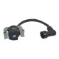 Spule für Rasenmähermotor 2P82F LONCIN 270920354-0001