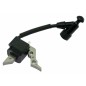 Bobina motor electrónico para motor cortacésped T100 NGP