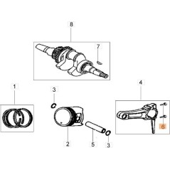 VITE ORIGINALE EMAK L66150343 | NewgardenParts.com