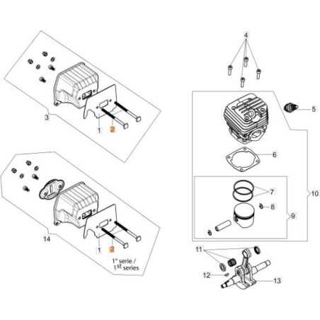 TORNILLO EMAK ORIGINAL 50310060R | NewgardenParts.com