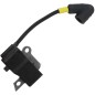 Husqvarna CS450 chainsaw ignition coil