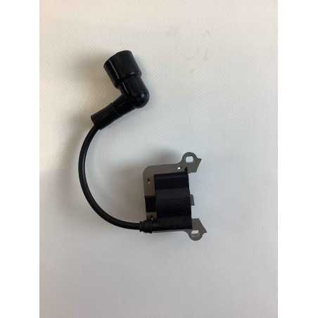 Electronic coil mototrivella models PG4320 051268 | NewgardenParts.com