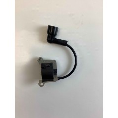 Electronic coil mototrivella models PG4320 051268 | NewgardenParts.com