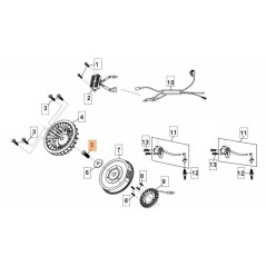 VITE ORIGINALE EMAK L66151084 | NewgardenParts.com