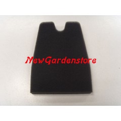 Filtro aria decespugliatore 746S 746T 753 753S 61110010 OLEOMAC | NewgardenParts.com