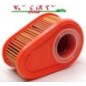 Filtro aria DOV BRIGGS & STRATTON 792038 motore rasaerba tagliaerba tosaerba