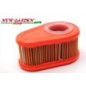 Filtro aria DOV BRIGGS & STRATTON 792038 motore rasaerba tagliaerba tosaerba