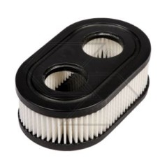 Filtro aria motore BRIGGS tagliaerba rasaerba serie 550 593260 798452 compatibile | NewgardenParts.com