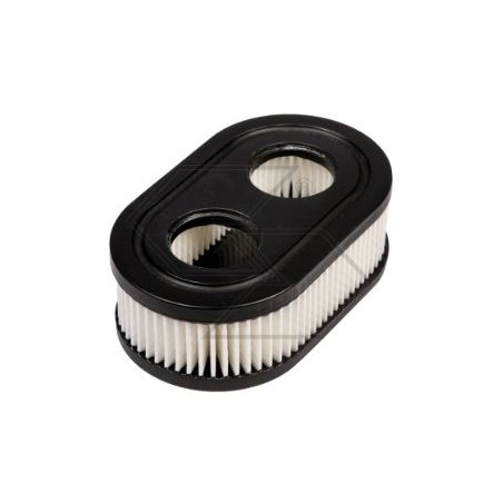 Filtro aria motore BRIGGS tagliaerba rasaerba serie 550 593260 798452 compatibile | NewgardenParts.com