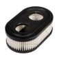 Filtro aria motore BRIGGS tagliaerba rasaerba serie 550 593260 798452 compatibile