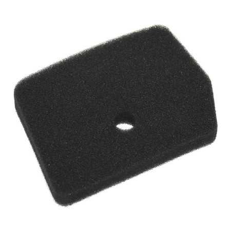 Luftfilter KASEI BG520 1E44FA-E.1-3 Rückentragrasenmäher Motor | NewgardenParts.com