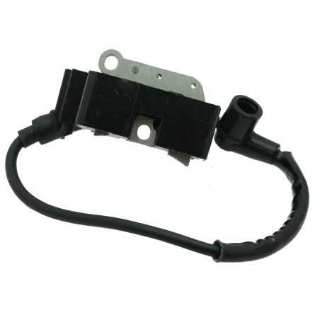 Electronic coil compatible chainsaw engine HUSQVARNA 365 - 372 537162204 | NewgardenParts.com