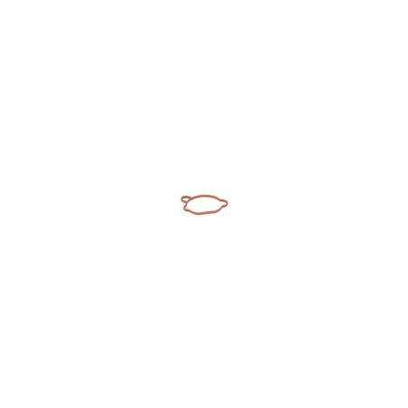 VERGASERDICHTUNG 599349078 ORIGINAL HUSQVARNA | NewgardenParts.com