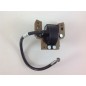 BRIGGS & STRATTON Rasenmähermotor-Zündspule 298316 3-701
