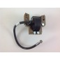 BRIGGS & STRATTON Rasenmähermotor-Zündspule 298316 3-701