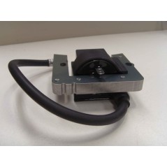Spule für Rasentraktor-Motor von 8 bis 11 PS TECUMSEH 35135 310072 | NewgardenParts.com