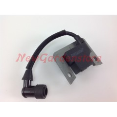 Coil for engine RV225 Rato lawn tractor 30400-Z340410-0100 310227 | NewgardenParts.com