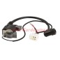 Coil for RV340 Rato engine 310226