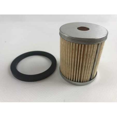 Filtro de gasóleo con junta Motor diesel LOMBARDINI 6LD 2175.032 | NewgardenParts.com