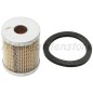 Filtro de combustible compatible tractor de césped LOMBARDINI 500-2175-032