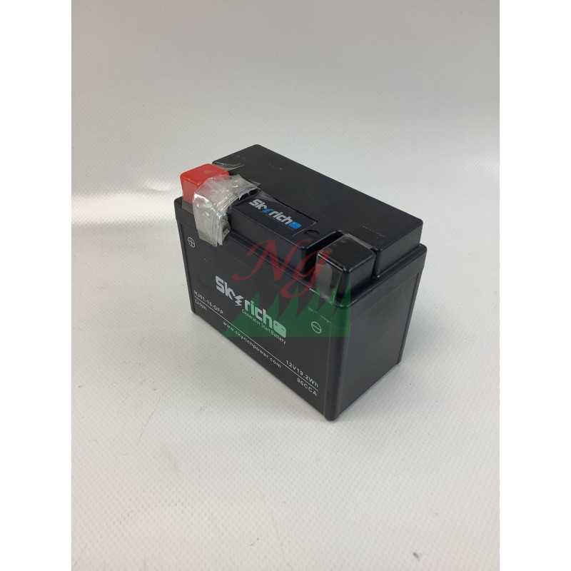 Batteria al litio 12V generatore modelli PGE48iS ORIGINALE OLEOMAC L66152716