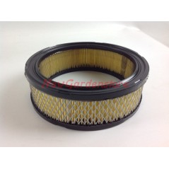 Filtro aria motore rasaerba compatibile BRIGGS & STRATTON  392642 - 394018