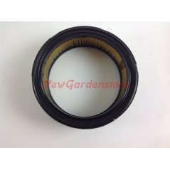 Filtro aria motore rasaerba compatibile BRIGGS & STRATTON 392642 - 394018 | NewgardenParts.com