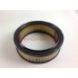 Filtro aria motore rasaerba compatibile BRIGGS & STRATTON  392642 - 394018