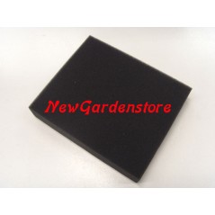 Filtro aria motore tagliaerba rasaerba SV150M 4T rasaerba valvole laterali GGP | NewgardenParts.com