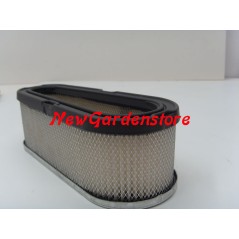 Filtro aria motore trattorino rasaerba 8-11 HP BRIGGS & STRATTON 691667 192015 | NewgardenParts.com