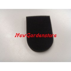 Filtro aria per motopompa SA18-SS33-SC23-C19-C20-SC55-SA45TC EFCO-OLEOMAC 191508 | NewgardenParts.com