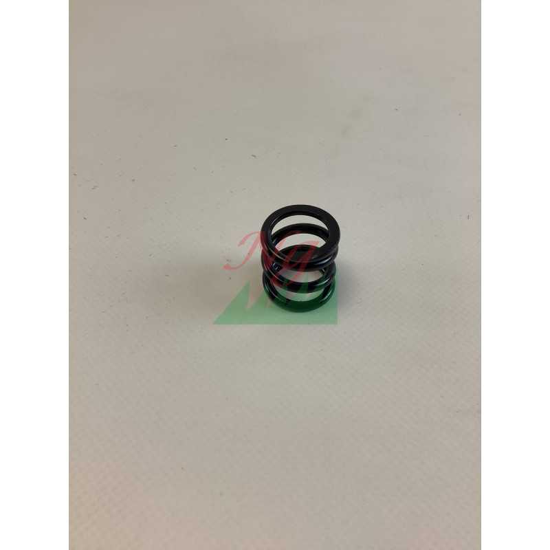 Original BRIGGS & STRATTON Rasenmähermotorfeder 2162085SM