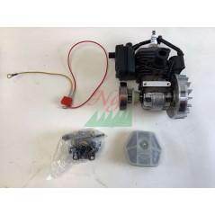 Blocco motore ORIGINALE STIGA motosega A305 - APR25 - SPR255 - EP2525CS