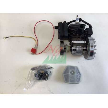 Bloc moteur tronçonneuse ORIGINAL STIGA A305 - APR25 - SPR255 - EP2525CS