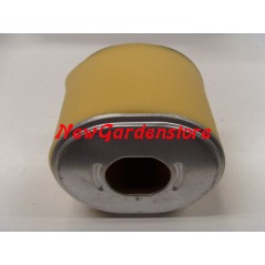 Filtro aria per TRATTORINO RASAERBA TAGLIAERBA GX240 270 340 390 HONDA 194012 | NewgardenParts.com