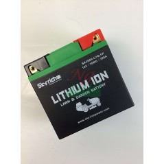 SKYRICH tracteur de pelouse batterie lithium capacité 32Ah tension 12V