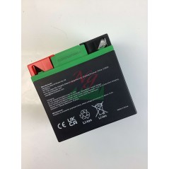 SKYRICH tracteur de pelouse batterie lithium capacité 32Ah tension 12V | NewgardenParts.com
