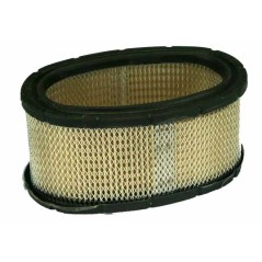 Filtro aria trattorino rasaerba tagliaerba 11HP I/C BRIGGS & STRATTON 393725 | NewgardenParts.com