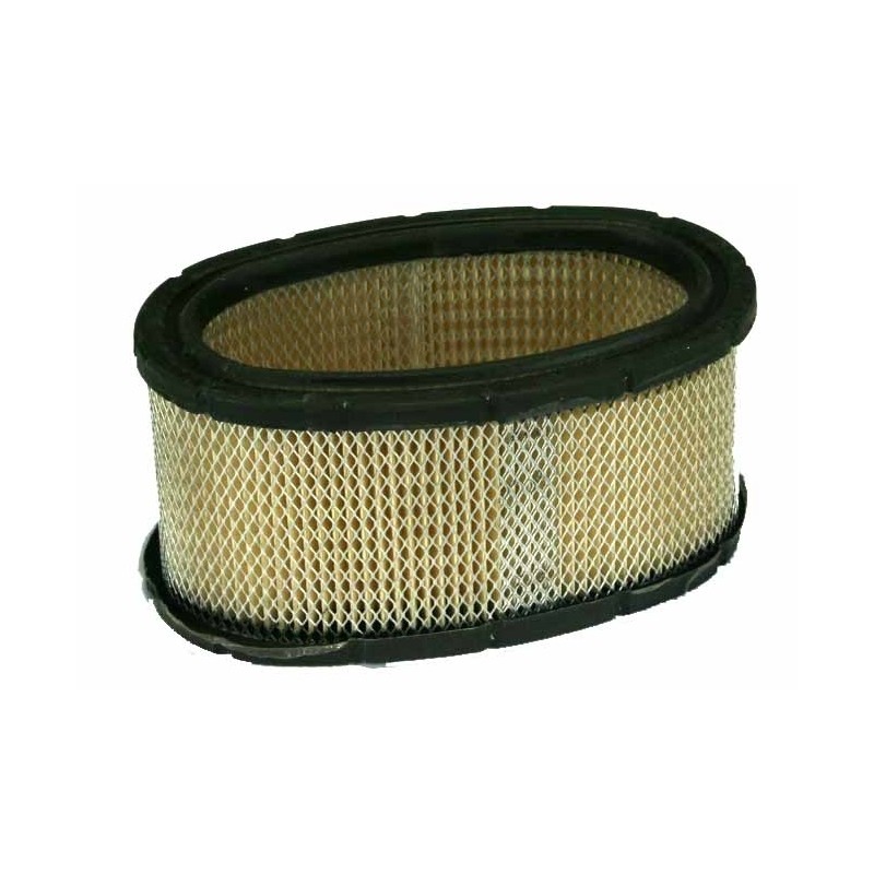 Filtro aria trattorino rasaerba tagliaerba 11HP I/C BRIGGS & STRATTON 393725