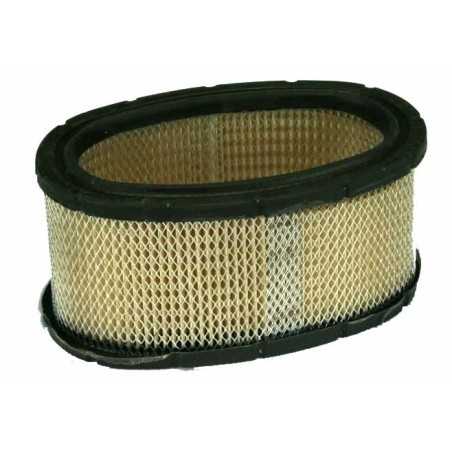 Luftfilter Rasentraktor-Motormäher 11HP I/C BRIGGS & STRATTON 393725 | NewgardenParts.com