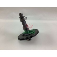 Albero a camme ORIGINALE STIGA motore TRE0801 trattorino tagliaerba 118550243/0 | NewgardenParts.com