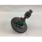 ORIGINAL STIGA árbol de levas del motor TRE0801 tractor de césped 118550243/0