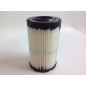 Luftfilter für Rasentraktor-Mäher AVS 31 BRIGGS&STRATTON 796031 192094