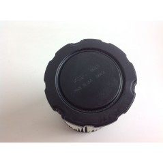 Luftfilter für Rasentraktor-Mäher AVS 31 BRIGGS&STRATTON 796031 192094 | NewgardenParts.com