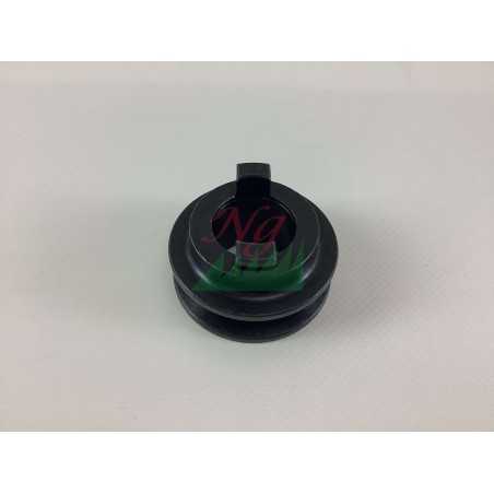 Polea de tracción para tractor de césped NGP DAYE 360765