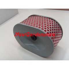 Filtro aria trattorino rasaerba tagliaerba YANMAR 114650-12540 | NewgardenParts.com